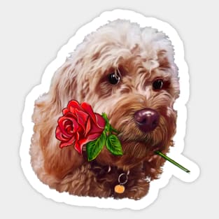 Cavapoo cavoodle with red rose - Cavapoo puppy dog  - cavalier king charles spaniel poodle, dog Valentine’s day Sticker